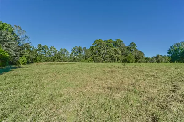 New Waverly, TX 77358,140 Little Road LOOP