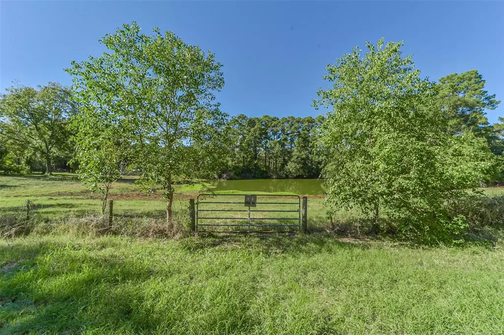 New Waverly, TX 77358,140 Little Road LOOP