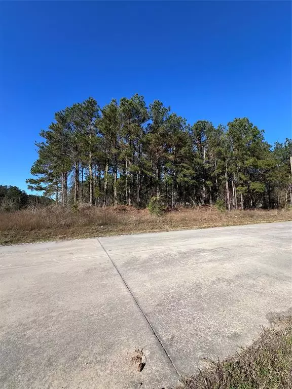 Cleveland, TX 77327,Lot 2650 County Road 5007 RD