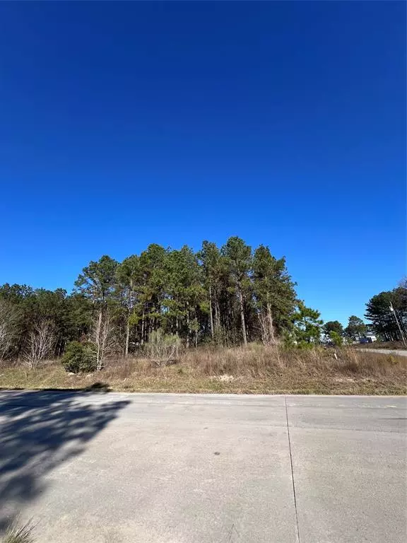 Cleveland, TX 77327,Lot 2650 County Road 5007 RD