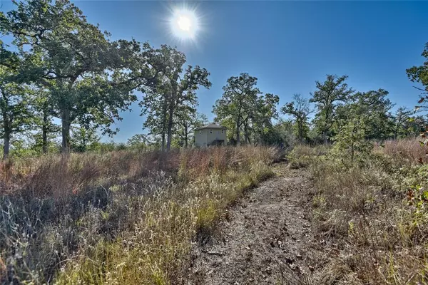 TBD Burr Oak LN, Somerville, TX 77879