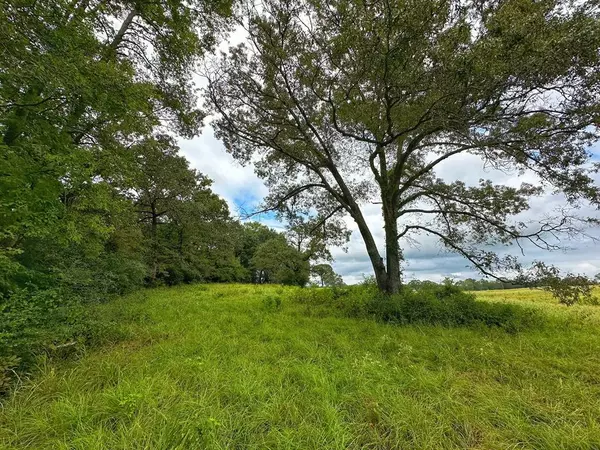 5 ac CR 231, Centerville, TX 75833