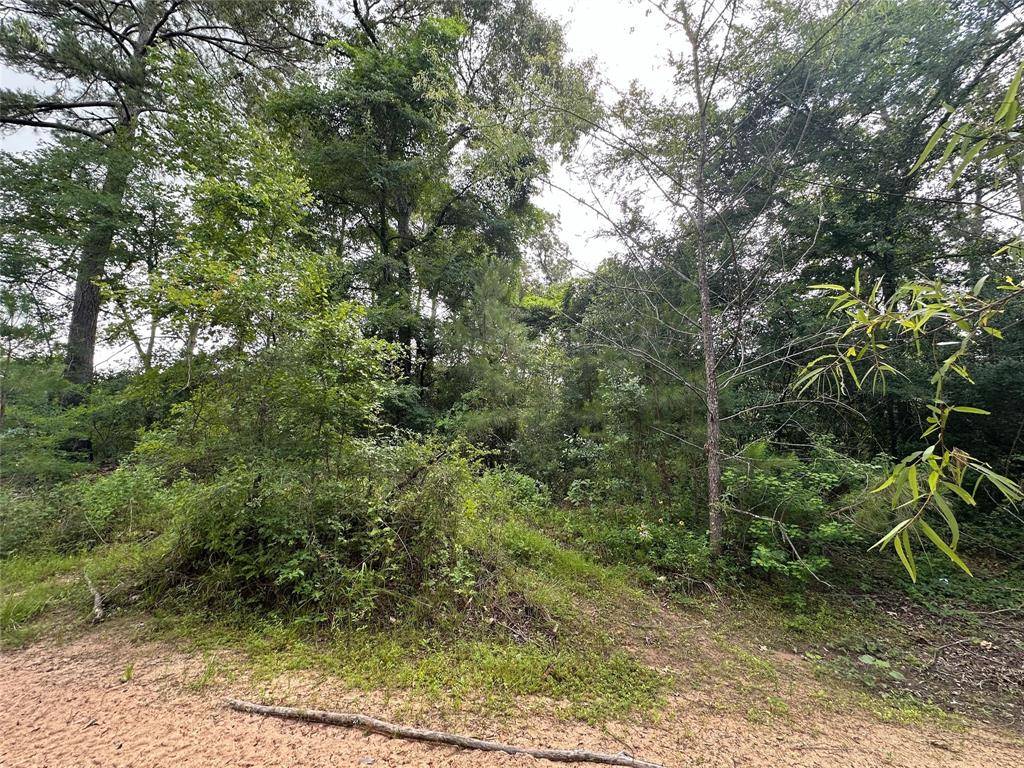Plantersville, TX 77363,0 Foxfire DR