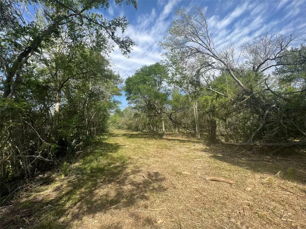 Brazoria, TX 77422,0 CR 849