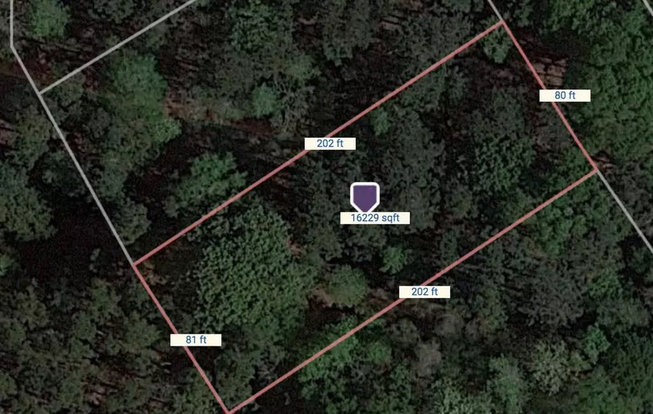 LOT 80 BLK 12 ROMAN FOREST, New Caney, TX 77357