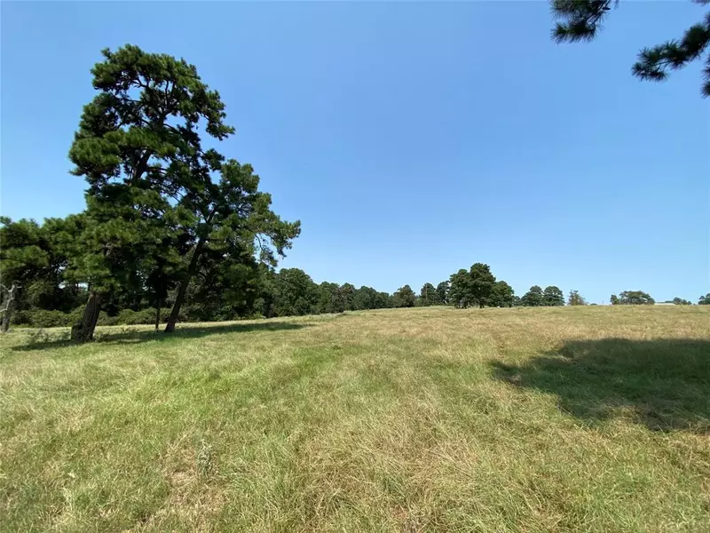 5222 County Road 306, Navasota, TX 77868