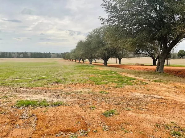 Hillister, TX 77624,TBD Lakeland Ranch Lot 104