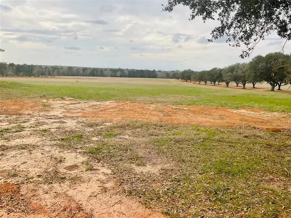 Hillister, TX 77624,TBD Lakeland Ranch Lot 104