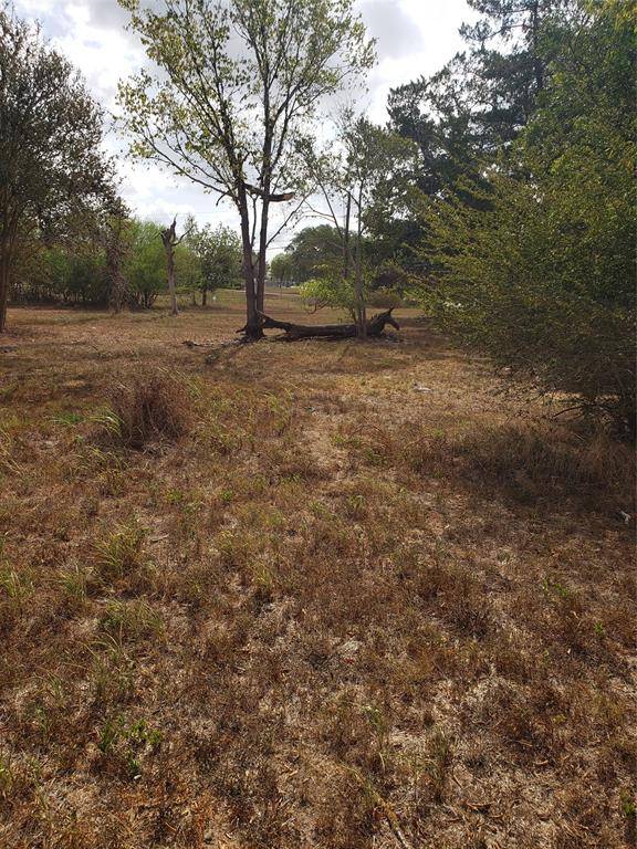 Lot 2R E Lot 2R E Texas ST E, Cuero, TX 77954