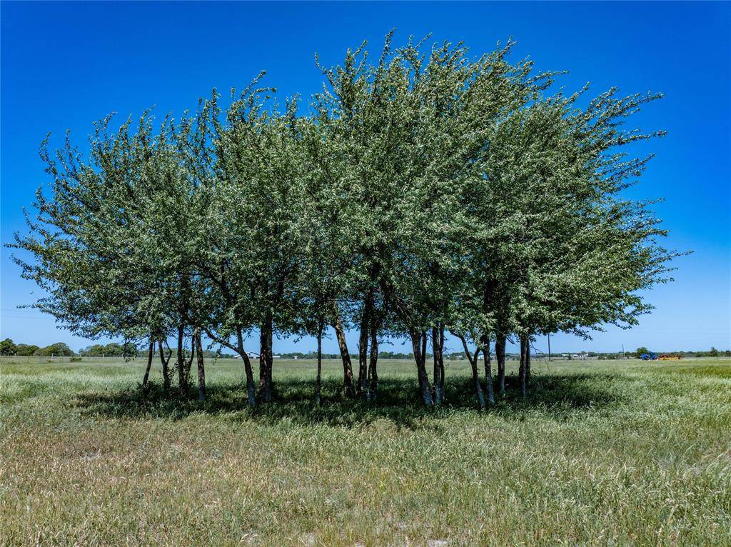 7267 Meiners Rd, Ledbetter, TX 78946