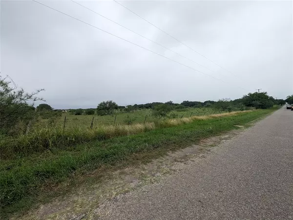 Premont, TX 78375,Lot 20, 21 Cr 430