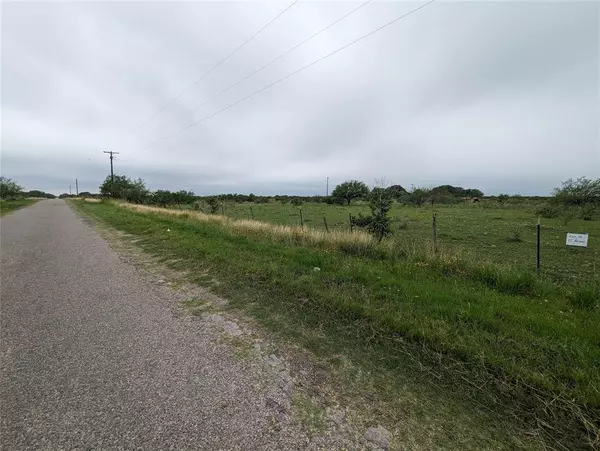 Premont, TX 78375,Lot 20, 21 Cr 430