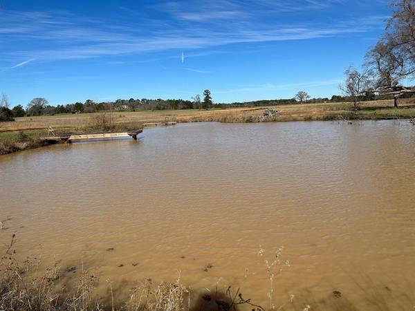 Centerville, TX 75833,11 ac PR 1380