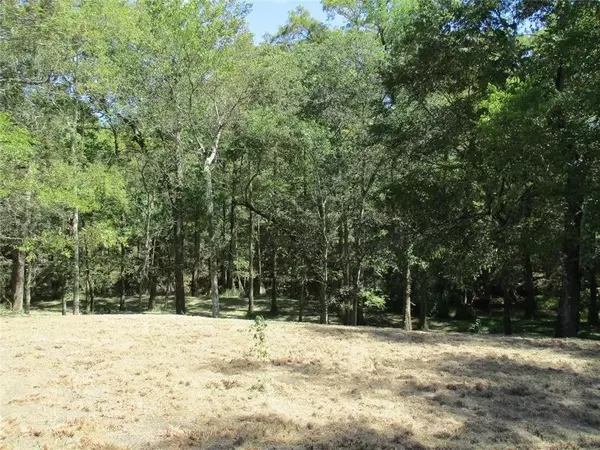 Wallisville, TX 77597,Lot 8 Apache RUN