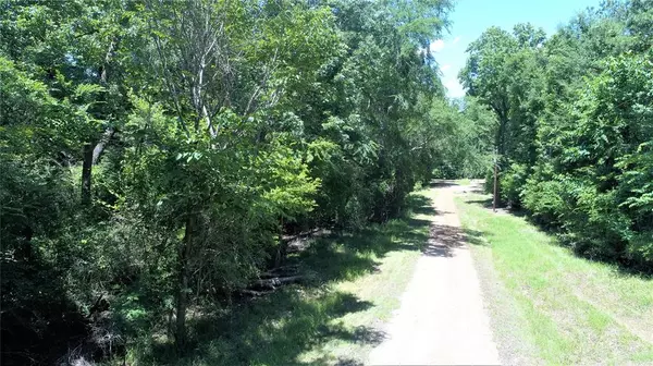 Crockett, TX 75835,TBD Forest Road