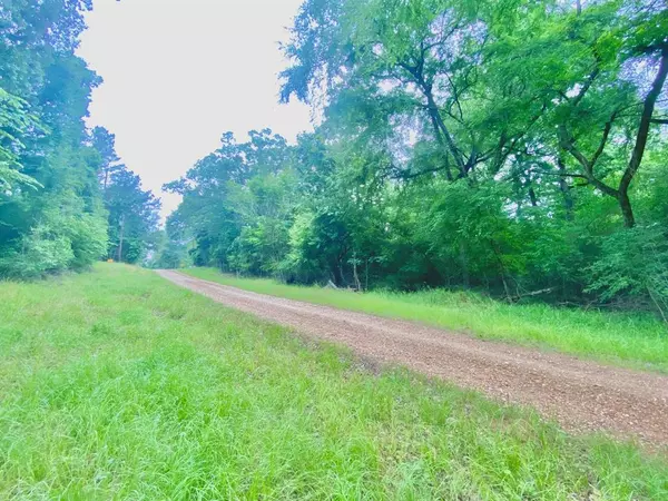 Crockett, TX 75835,TBD Forest Road