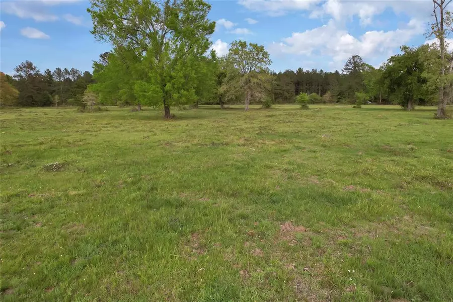 Lot C Mangum DR, Livingston, TX 77351