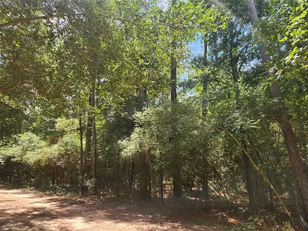 Plantersville, TX 77363,Lot 1 Sycamore LN