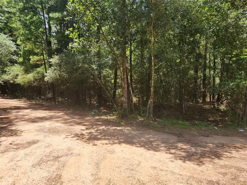 Lot 1 Sycamore LN, Plantersville, TX 77363