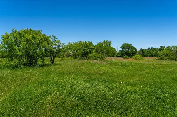 Caldwell, TX 77836,Lot 29 Brazos CT