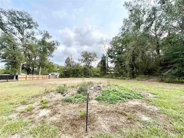 Vidor, TX 77662,0 Lot 9 Teal Dr