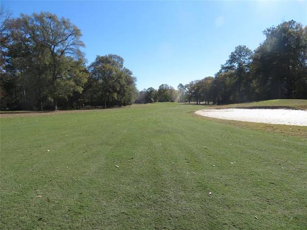 Village Mills, TX 77663,000 HICKORY