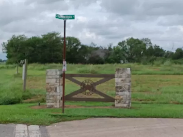 Angleton, TX 77515,00 Brahman TRL