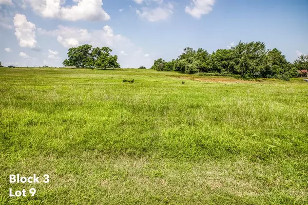 Brenham, TX 77833,2410 Oak Hollow LN