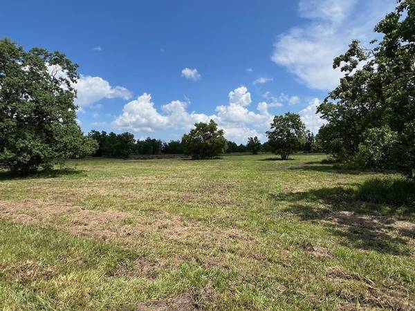 Damon, TX 77430,00 County Road 25