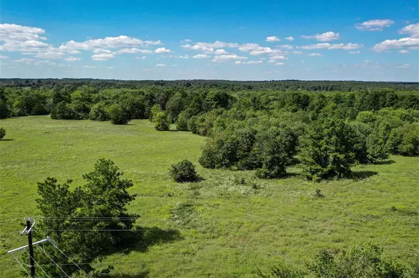 Huntsville, TX 77340,134 Acres FM 1374