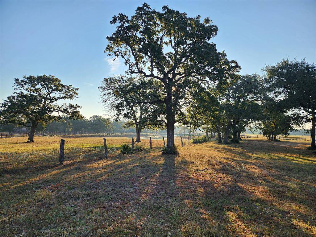 Cat Spring, TX 78933,1070 Henneke Rd