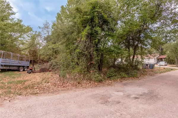 Trinity, TX 75862,Lot 59 Tom ST