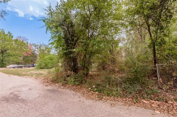 Trinity, TX 75862,Lot 59 Tom ST