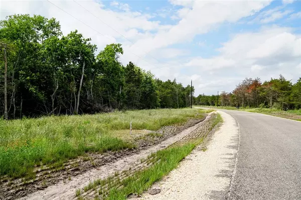 Carmine, TX 78932,441 Vineyard View Trail