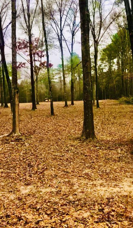 Huntsville, TX 77340,27 Gourd Creek DR