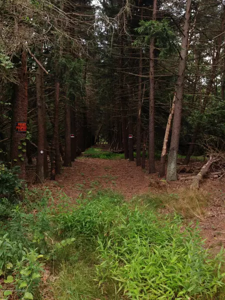 323 W Commodore Boulevard, Jackson, NJ 08527