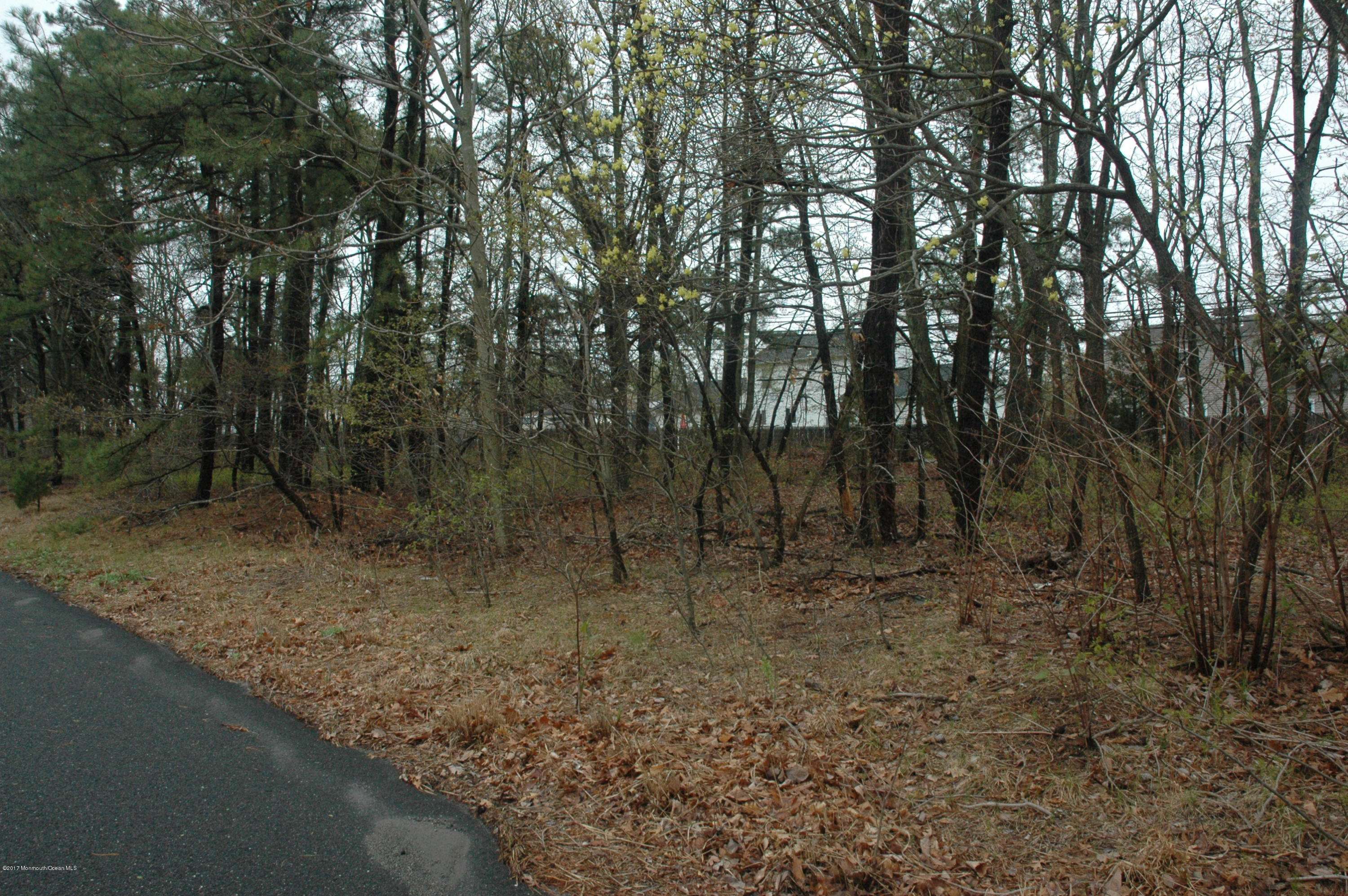 0 Sally Ike Road, Brick, NJ 08724