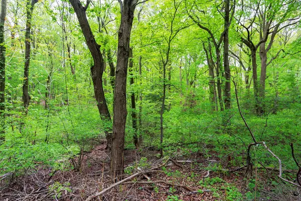 Middletown, NJ 07748,344 Hillside Avenue