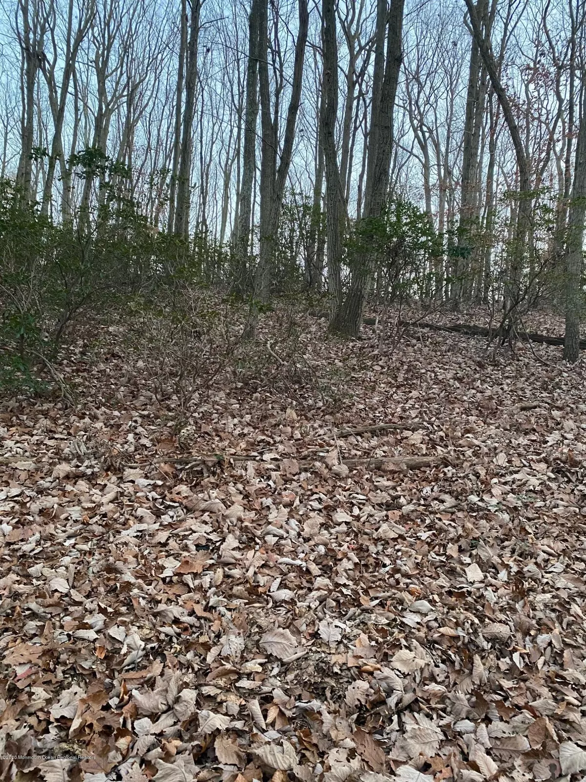 Millstone, NJ 08510,52 Chambers Road