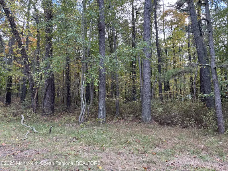 0 Warren Avenue, Browns Mills, NJ 08015