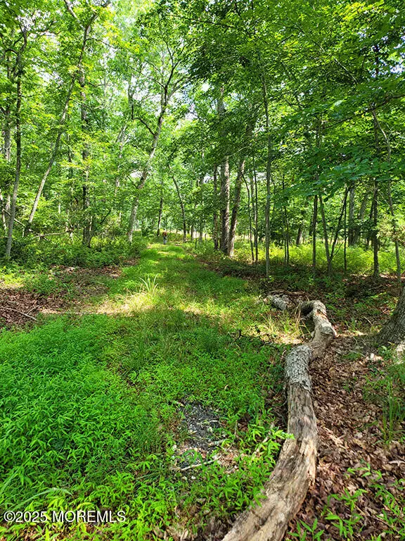 Devonshire, NJ 08215,5704 Moss Mill Road