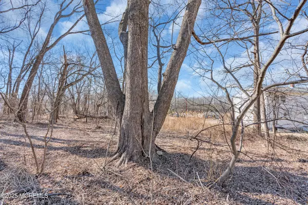 Morganville, NJ 07751,0 Route 79 Highway