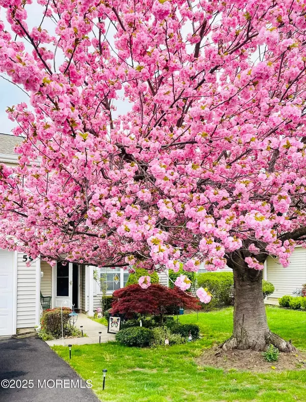 Freehold, NJ 07728,59 Perri