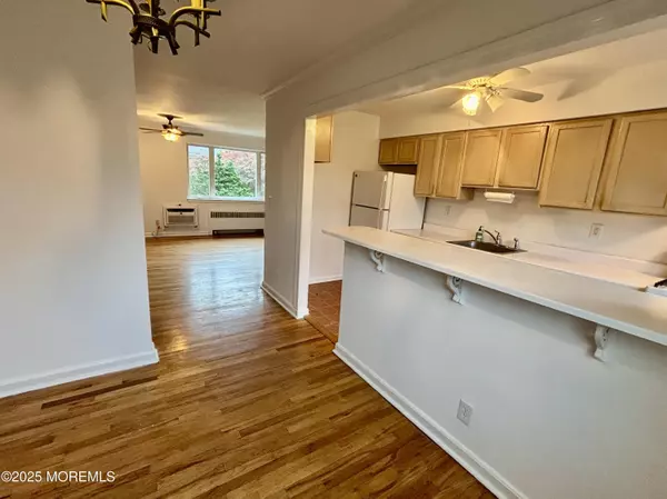 Red Bank, NJ 07701,283 Spring Street #4C