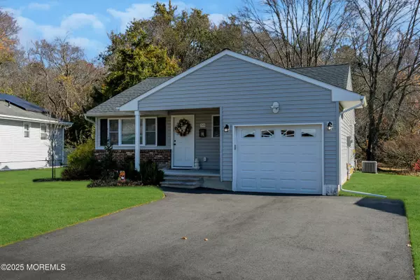 Toms River, NJ 08755,50 Golden Glow Circus