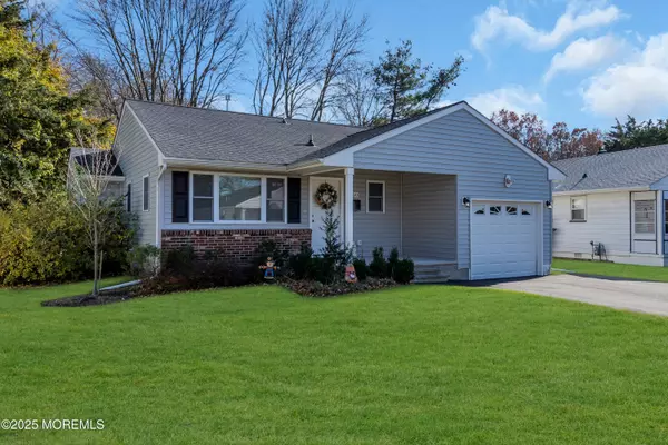 Toms River, NJ 08755,50 Golden Glow Circus