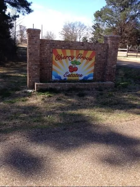 0 Edward Owens Drive #19, Terry, MS 39170