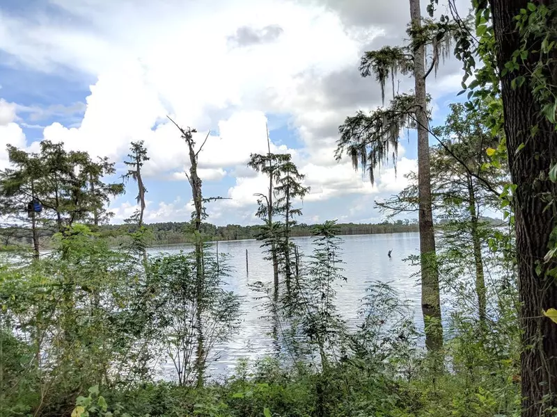 0 Pecan Grove Road, Woodville, MS 39669