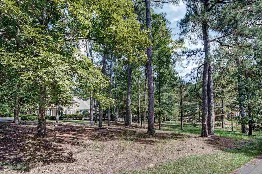 0 Lower Windrush Drive #27, Flowood, MS 39232