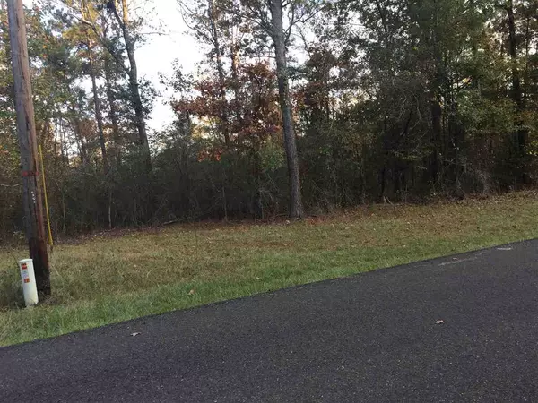 Forest, MS 39057,5 Country Club Road #Tract #5